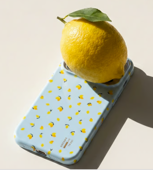 Ideal of Sweeden phone cases and accessories discount code